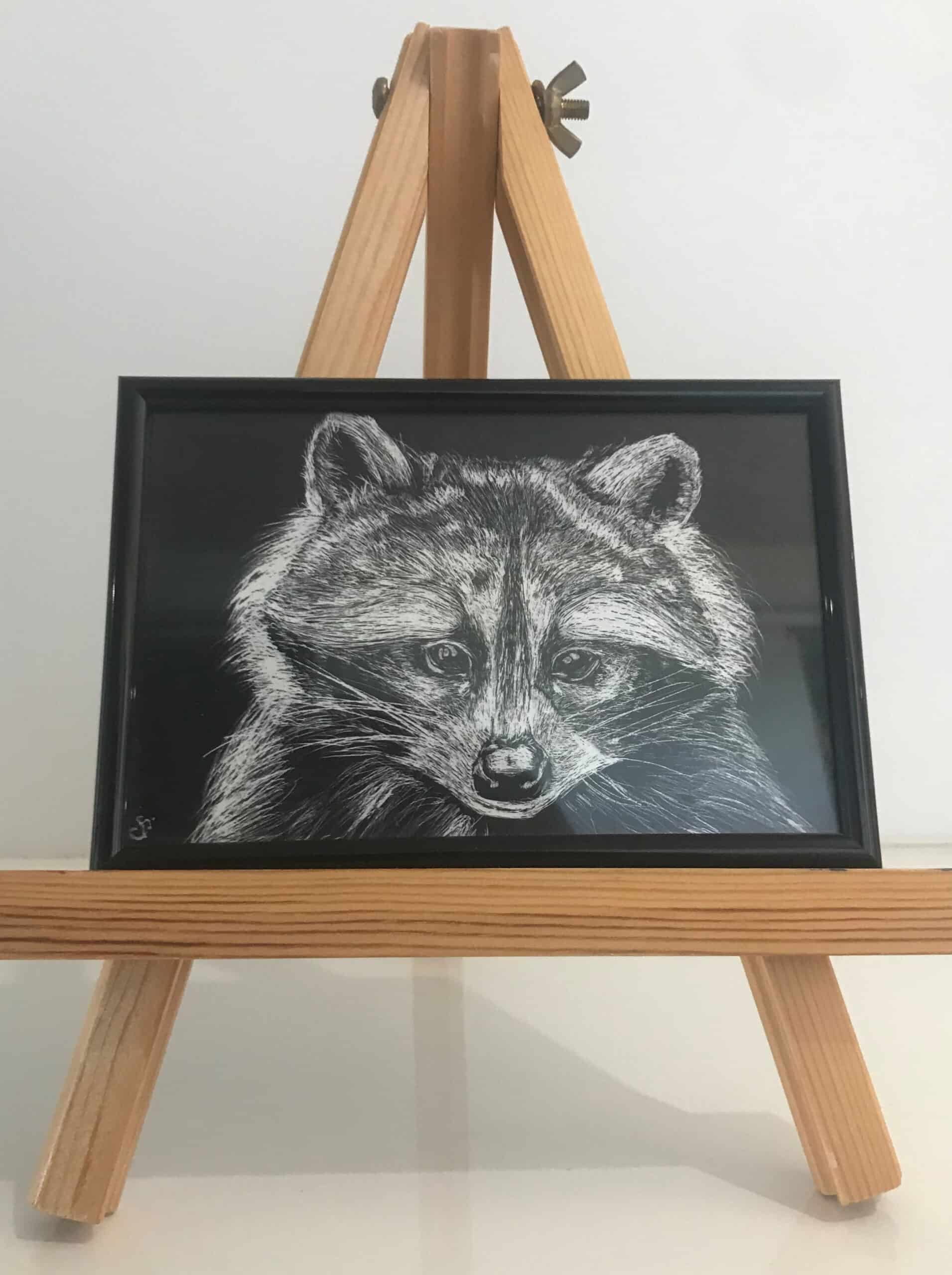 Raccoon 1